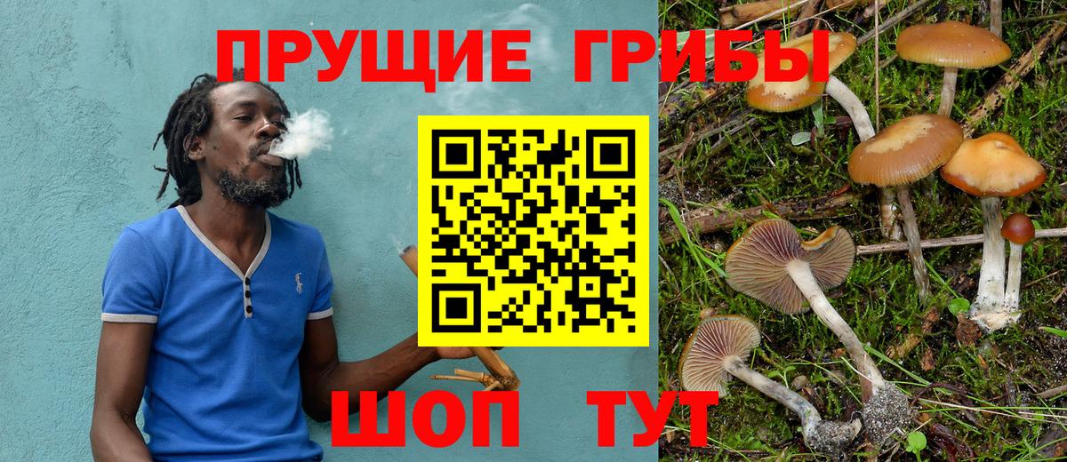 Вичуга  купить наркоту  Вход с VPN  Псилоцибиновые грибы мицелий 